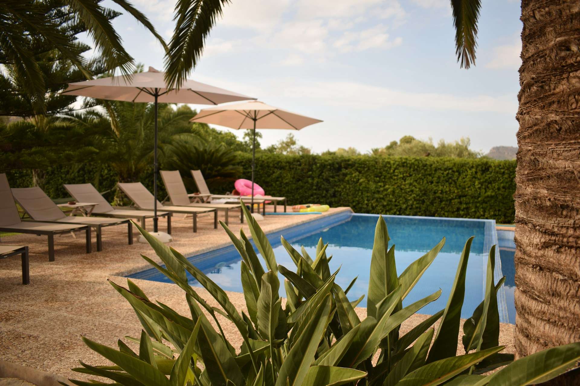 How Vivi Property Management Boosts Costa del Sol Rentals | Vivi Property Management