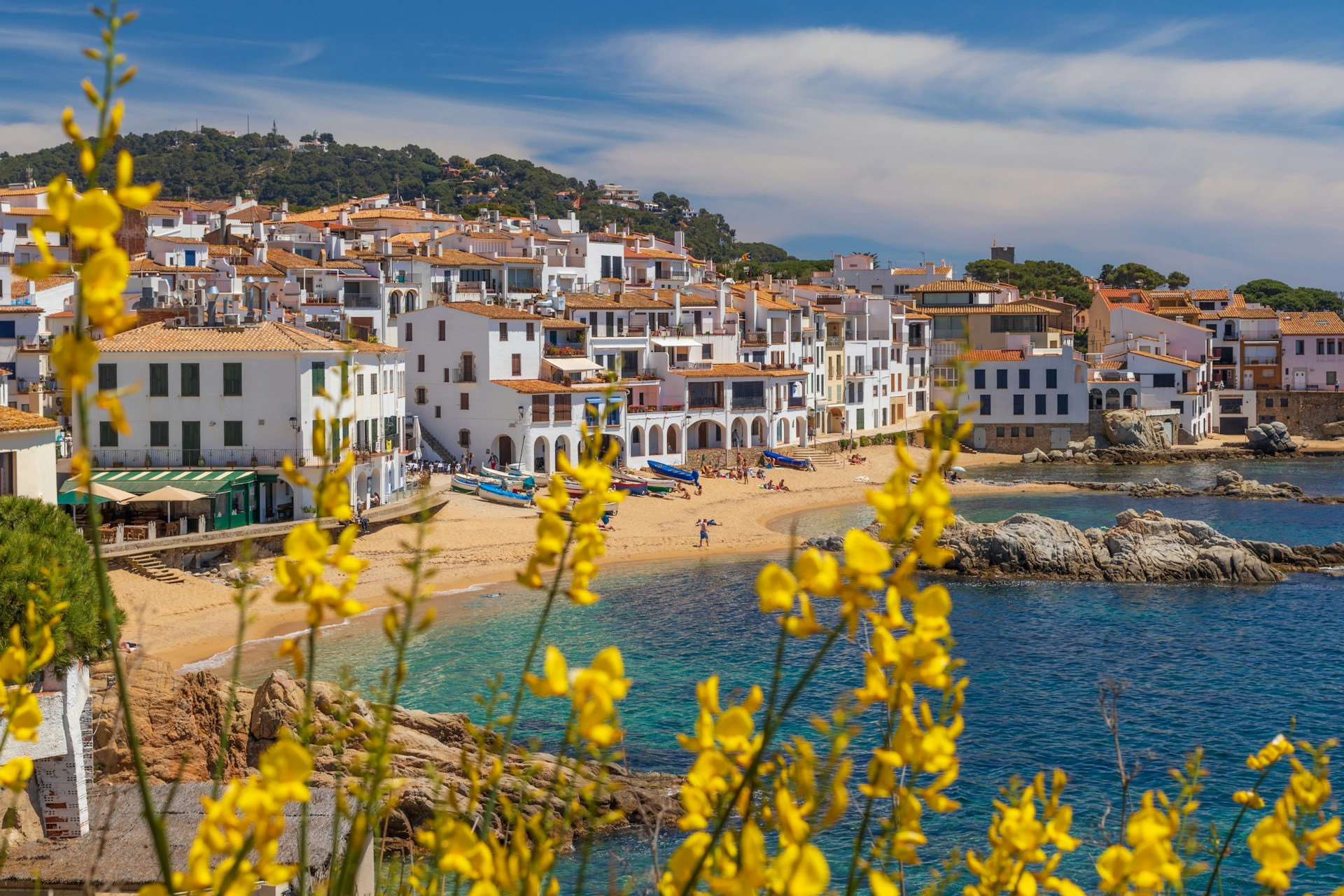Holiday Rental Costa del Sol: How VIVI Property Management Delivers the Ultimate Stay Experience | Vivi Property Management
